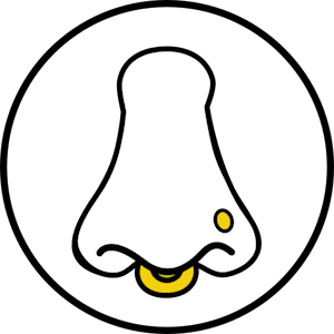 Nasenpiercing