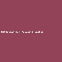 Mediocre Polyamide Laptop