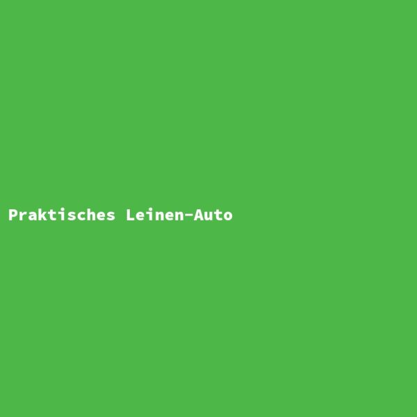 Praktisches Leinen-Auto