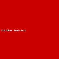 Schickes Samt-Bett