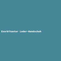 Exorbitant Leather Glove