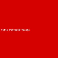 Great Polyamide Bag
