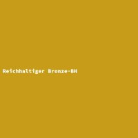 Reichhaltiger Bronze-BH
