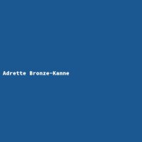 Adrette Bronze-Kanne